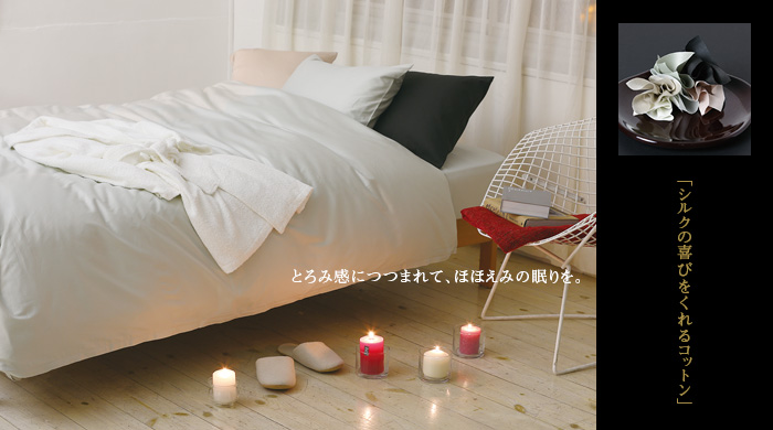 80エジプシャン（綿）