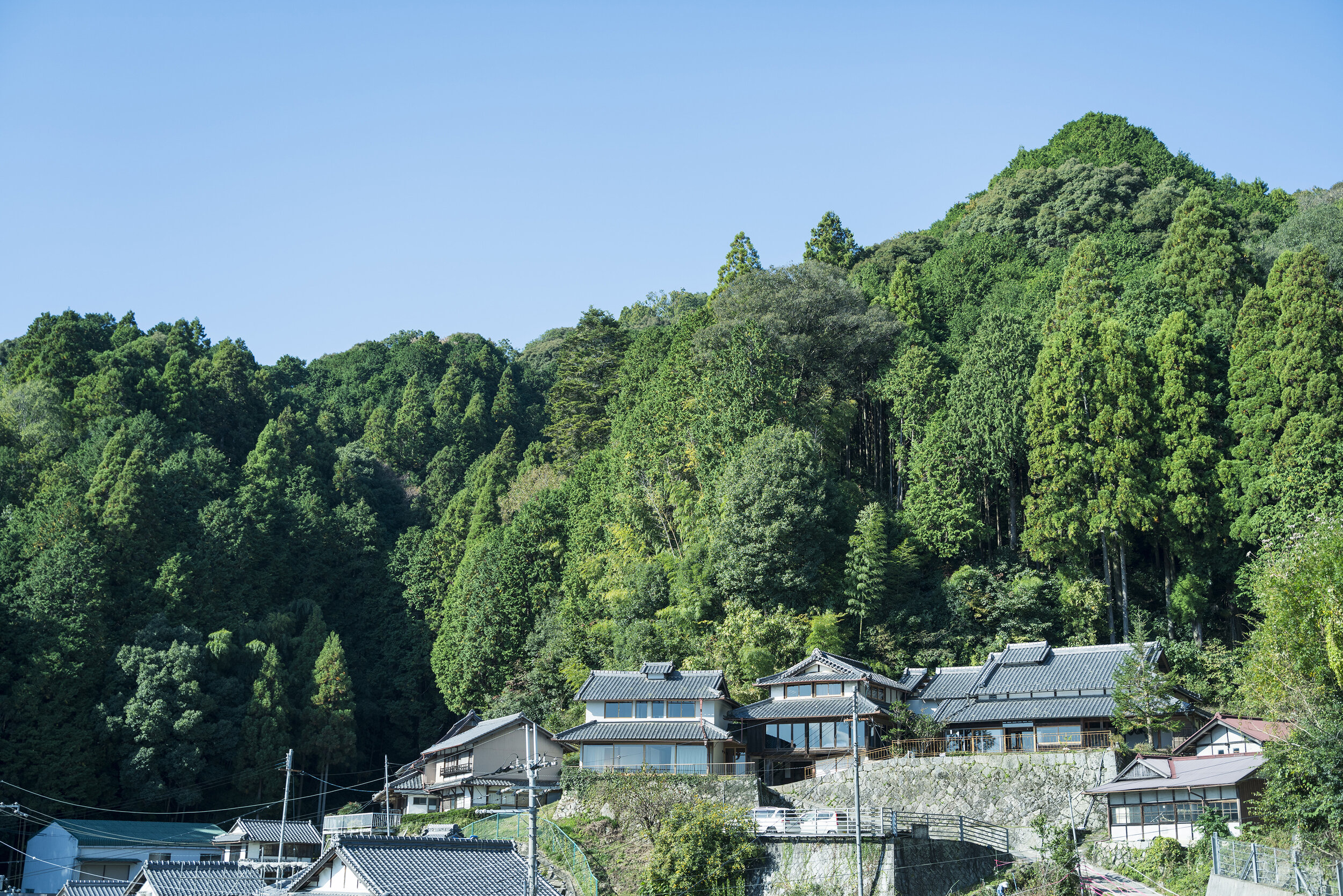 ume奈良の山